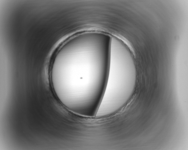 X0000099401120200805081236
