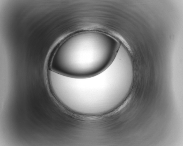 X0000099401122200805081236