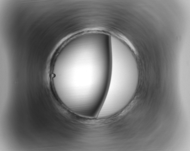 X0000099401124200805081236