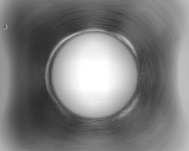 X0000099401125200805081236
