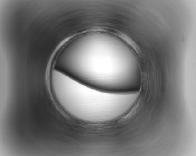 X0000099401127200805081236