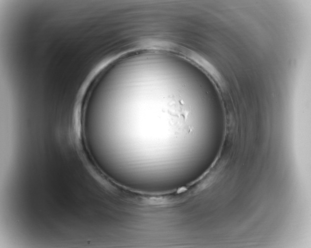 X0000099401128200805081236