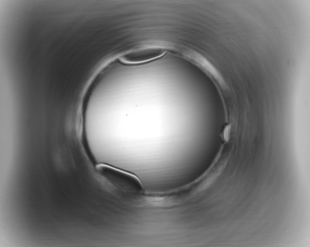 X0000099401132200805081236