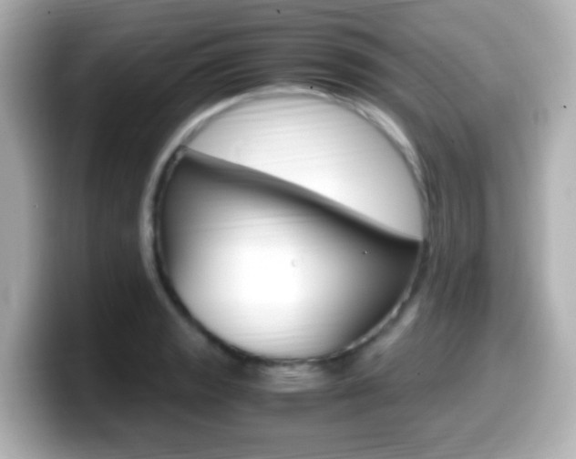X0000099401133200805081236