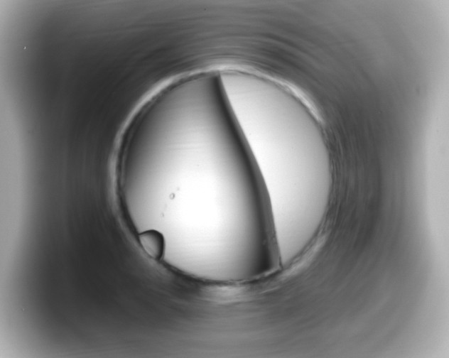X0000099401134200805081236
