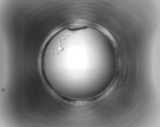 X0000099401138200805081236