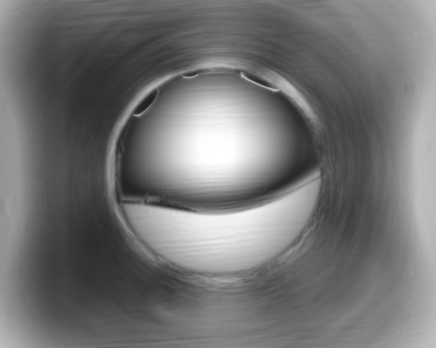 X0000099401140200805081236