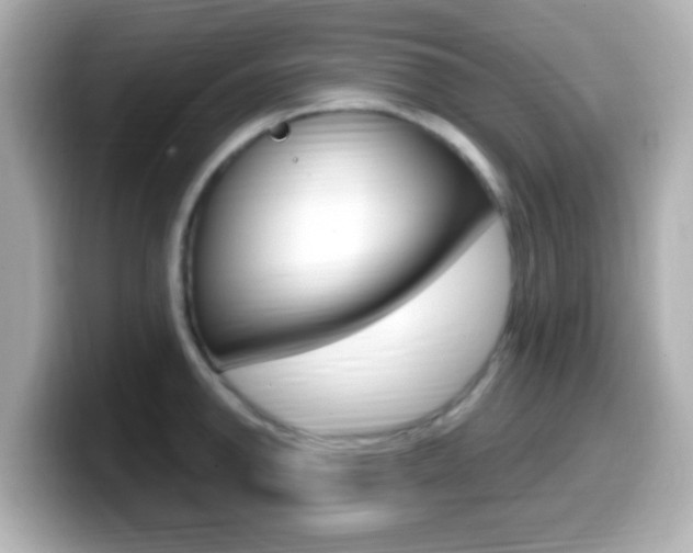 X0000099401142200805081236
