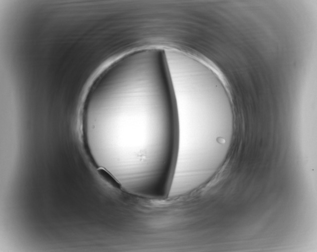 X0000099401144200805081236