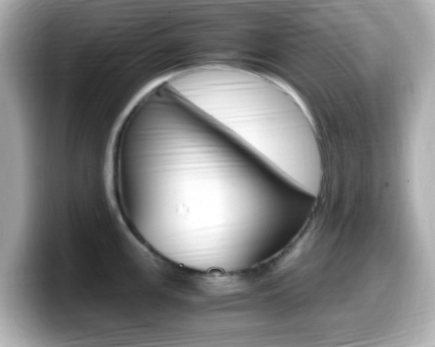 X0000099401147200805081236