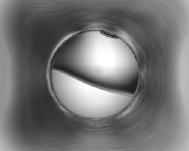 X0000099401149200805081236