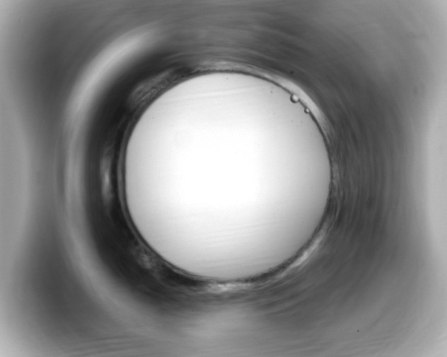 X0000099401150200805081236