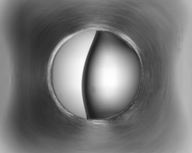 X0000099401152200805081236