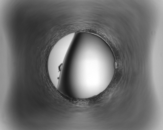 X0000099401153200805081235