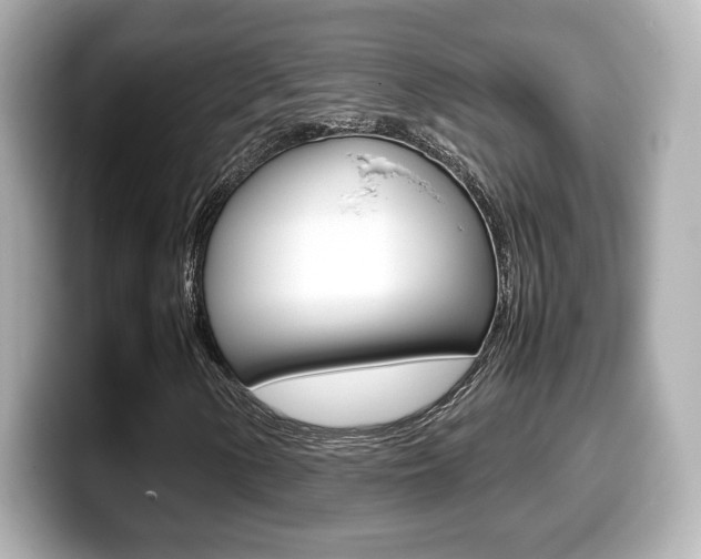 X0000099401154200805081235