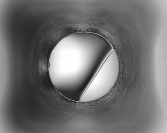 X0000099401155200805081235