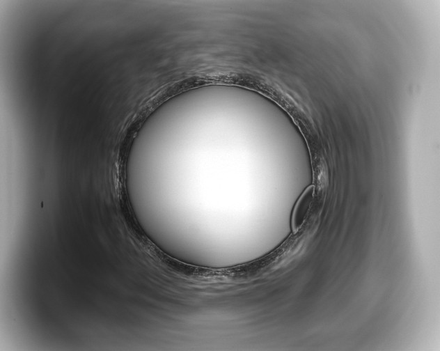 X0000099401156200805081235
