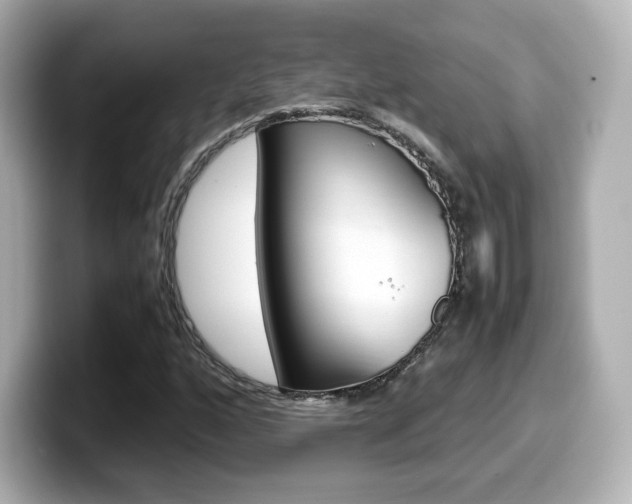 X0000099401160200805081235