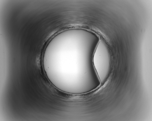 X0000099401162200805081235