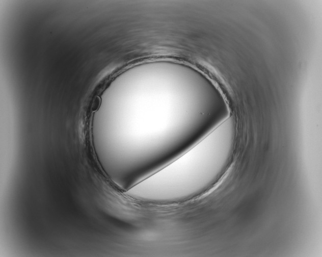 X0000099401163200805081235