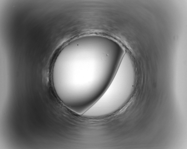 X0000099401165200805081235