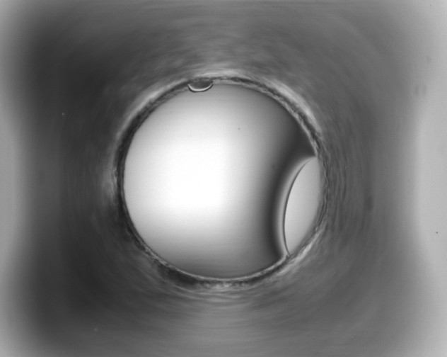 X0000099401167200805081235