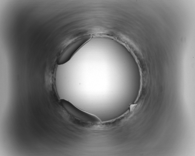 X0000099401169200805081235