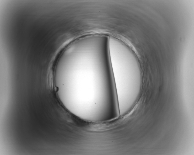 X0000099401171200805081235