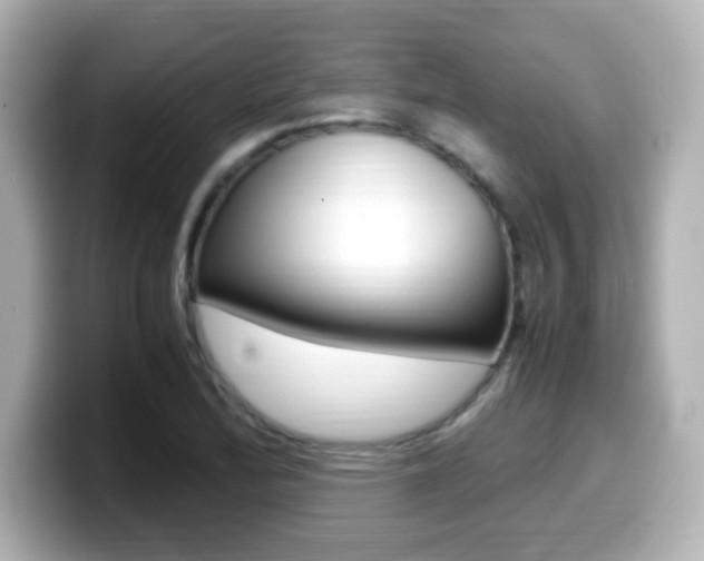 X0000099401172200805081235