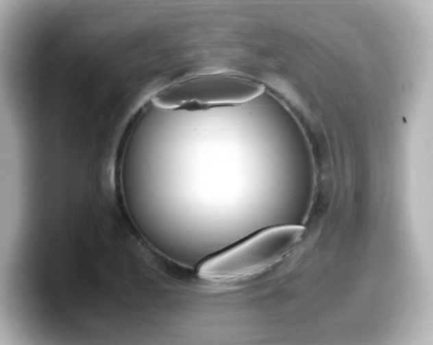 X0000099401173200805081235
