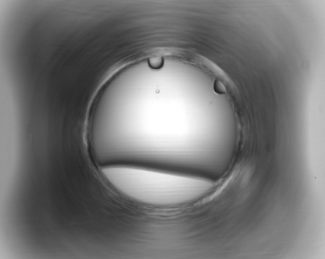 X0000099401178200805081235