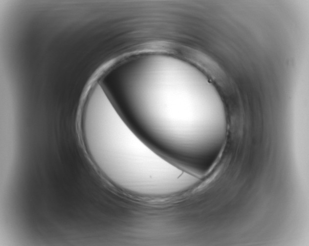 X0000099401180200805081235