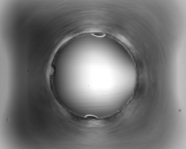 X0000099401181200805081235