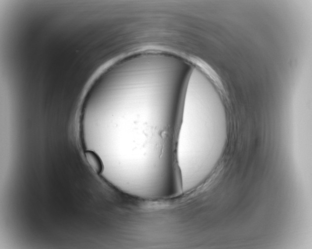X0000099401183200805081235