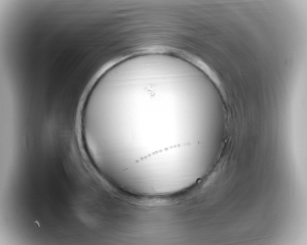 X0000099401187200805081235