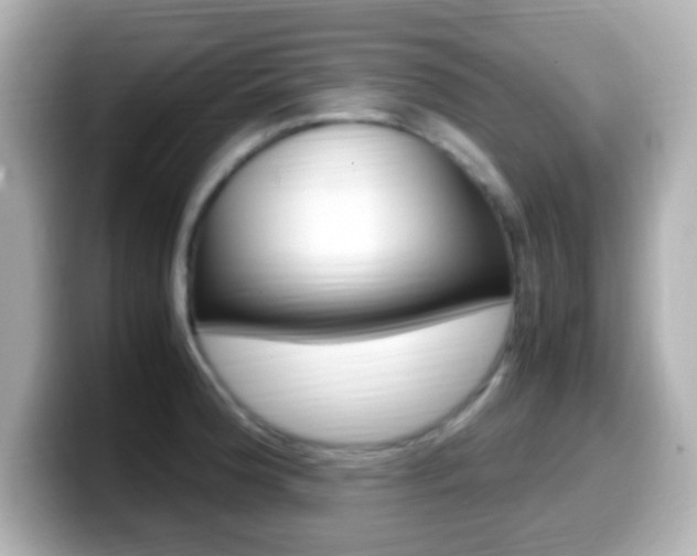 X0000099401188200805081235