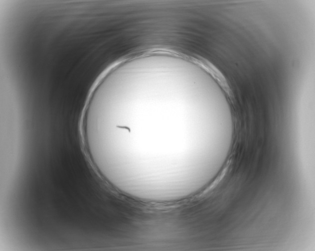 X0000099401190200805081235