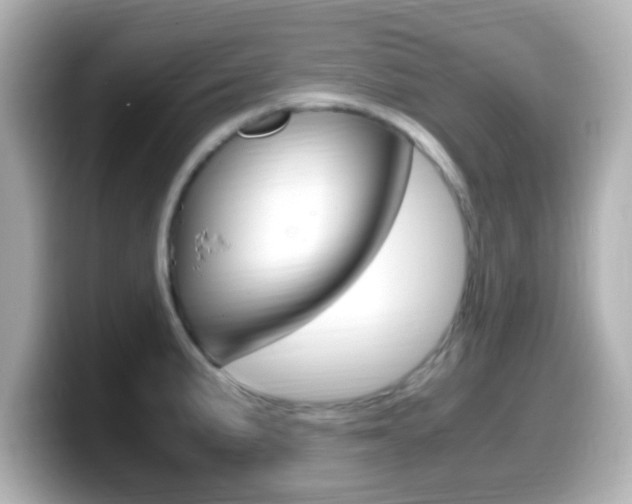 X0000099401191200805081235