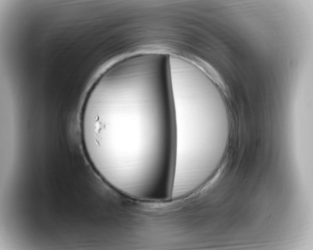 X0000099401192200805081235