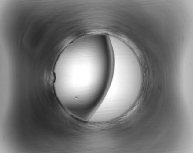 X0000099401193200805081235