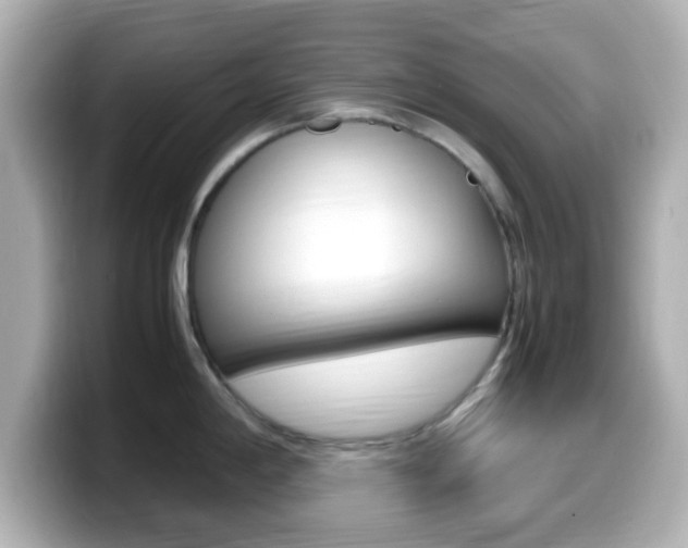 X0000099401198200805081235