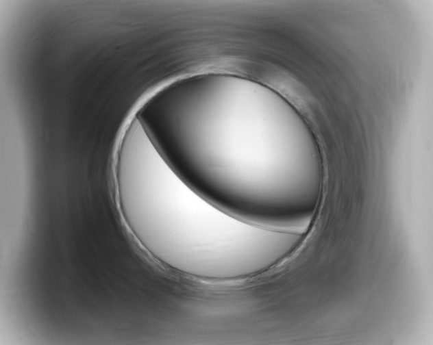 X0000099401200200805081235
