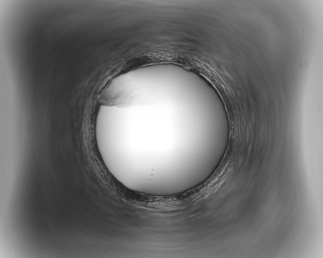 X0000099401201200805081234