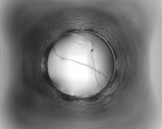 X0000099401202200805081234