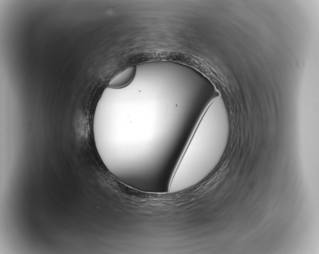 X0000099401204200805081234