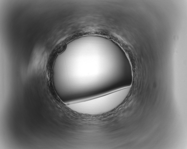 X0000099401206200805081234