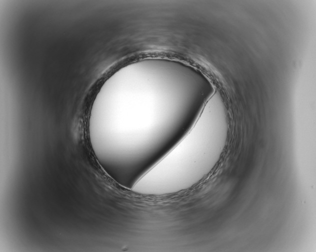 X0000099401208200805081234