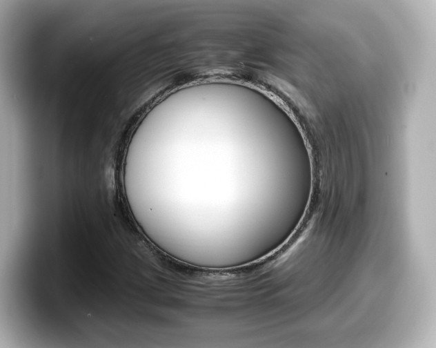 X0000099401209200805081234
