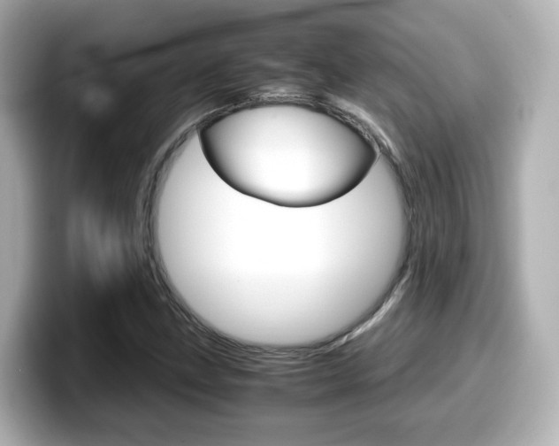 X0000099401211200805081234