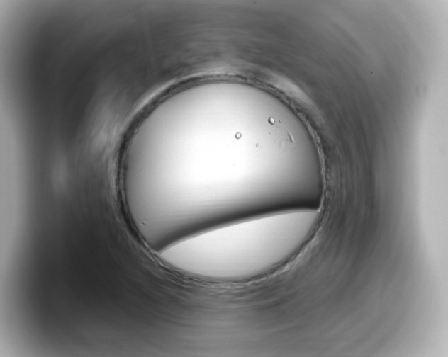 X0000099401216200805081234